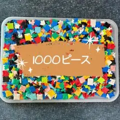 LaQ ランダム　1000ピース＋α