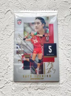 1-19 佐藤淑乃 女子バレー 日本代表 ver 2026　レアカード