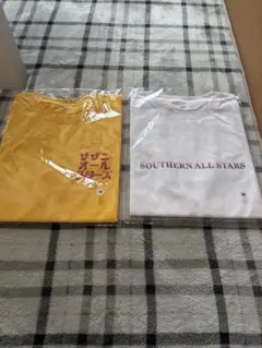 サザンオールスターズ激レアTシャツ1991年ツアー数回使用 - メルカリ