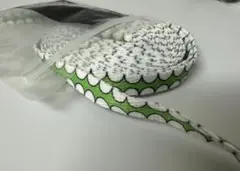 新品未開封Original Fake KAWS 歯型 シューレース Green