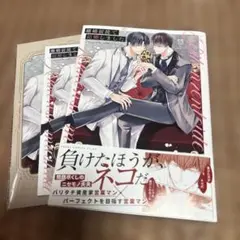 離婚前提で結婚しました 慧