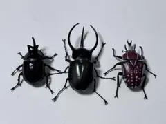 いきもの大図鑑　かぶとむし　3点
