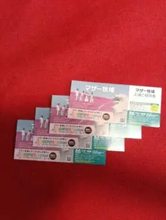 マザー牧場 入場ご招待券 4枚セット 有効期限2026年9月30日までのサムネイル