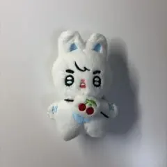 SEVENTEEN エスクプス スンチョル ぬいぐるみ