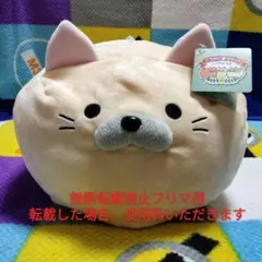 新品 セガ代表ねこ会議 ごろねこサミット フジタのサムネイル