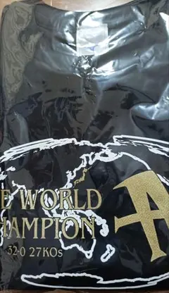 XL 井上尚弥 後援会Tシャツ 中谷潤人戦 東京ドーム The day - メルカリ