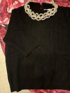 ZARA パール付き 半袖ニット XL