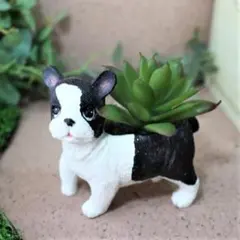 2025年最新】ボストンテリア 置物の人気アイテム - メルカリ