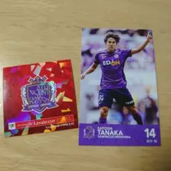 2025ルヴァンカップ決勝戦 サンフレッチェ広島 田中聡選手 カード