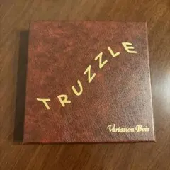 TRUZZLE Variation Bois希少　フランス製　パズル　木工　美