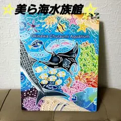 ⭐在庫大処分セール⭐沖縄　美ら海水族館　観察ガイド　コンプリート　全２３ページ。