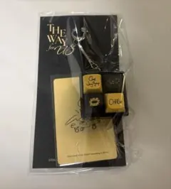 新品未開封】チェジョンヒョプ キーキャップキーリング ファンミ 韓国