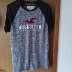 HOLLISTER メンズ Tシャツ M