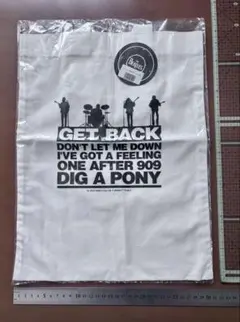 Item thumbnail for item 25bf0c7f-8e99-4321-bab4-3bd026422824