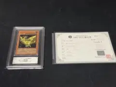 遊戯王 究極宝玉神レインボードラゴン レリーフ ARS9 鑑定書付 - メルカリ