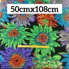 USAコットン ケイフファセット 花柄 生地 ① 50cm