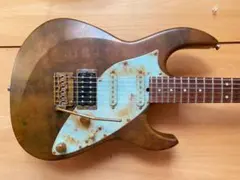 2025年最新】james tyler ピックアップの人気アイテム - メルカリ