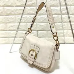 美品 コーチ ワンショルダーバッグ アクセサリーポーチ シボ革 バイ