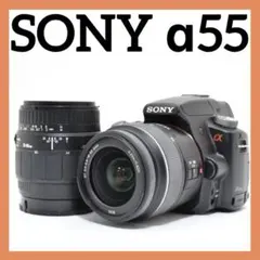2026年最新】sony α55の人気アイテム - メルカリ