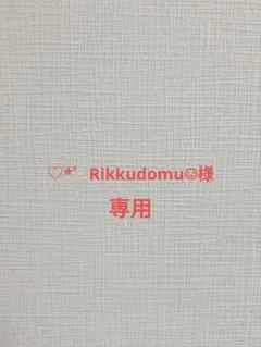 ♡*゜Rikkudomu☺︎︎様専用