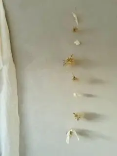 秋風の吹くころ　スモークツリーとホワイトアジサイのガーランド　73cm