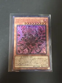 ブラック・ローズ・ドラゴン／バスター