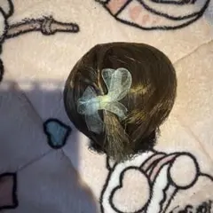 コーディネートモデル着用ウィッグ　茶色