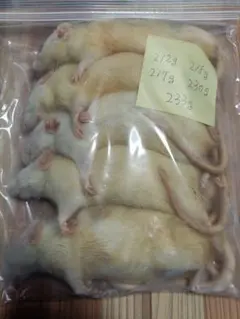 かめちき様 リクエスト 5点 まとめ商品