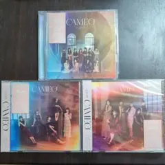 Item thumbnail for item 9be113b6-cc17-4610-83de-af8eae129006