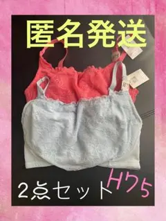 大人気 !! H75 送料無料 ♪ 胸を小さく見せるブラジャー　最安値に挑戦のサムネイル