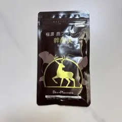 Item thumbnail for item 8a7e2d66-580f-476a-9573-ca63e115cc1d