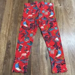 next レッグウェア