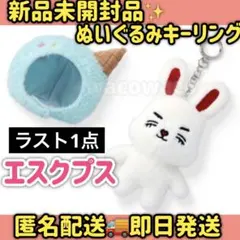 miniteen ICECREAM ポップアップ ドギョム ぬいぐるみキーリング