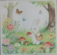 女将様 リクエスト 5点 まとめ商品