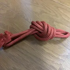 帯締め オレンジ 和装小物