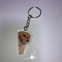 猫ミーム、アクリルキーホルダー