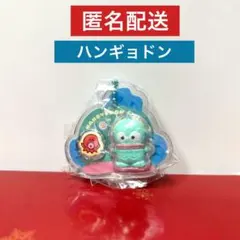 サンリオパッケージチャーム ハンギョドン