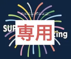 専用出品 ⭐︎