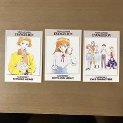 柿*様 新世紀エヴァンゲリオン イラスト集セット