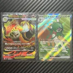 ジュナイパーex/メガバグーダex 2枚セット