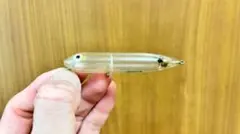 Heddon Zara Puppy クリアカラー トップウォーター（中古品）のサムネイル