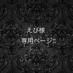 えび様　専用ページ