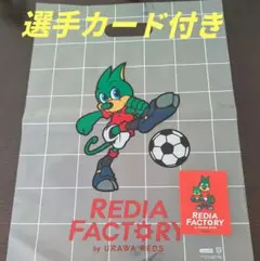 レディアファクトリー　ステッカー　バッグ　セット