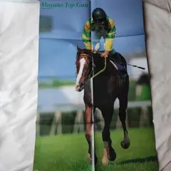 競走馬ポスター マヤノトップガン　サクラローレル