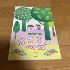 악보 오카리나 베스트 선집 개정판