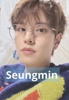 Straykids スンミン ペンミ 購入特典トレカ オフライン限定