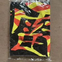 福山雅治 WE'RE BROS. TOUR 2026 タオルのサムネイル