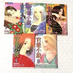 官能小説　全５巻