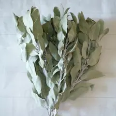 Tabasco様 リクエスト 2点 まとめ商品