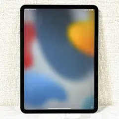 美品 Apple iPad Pro 11インチ 第1世代 64GB 本体のみ